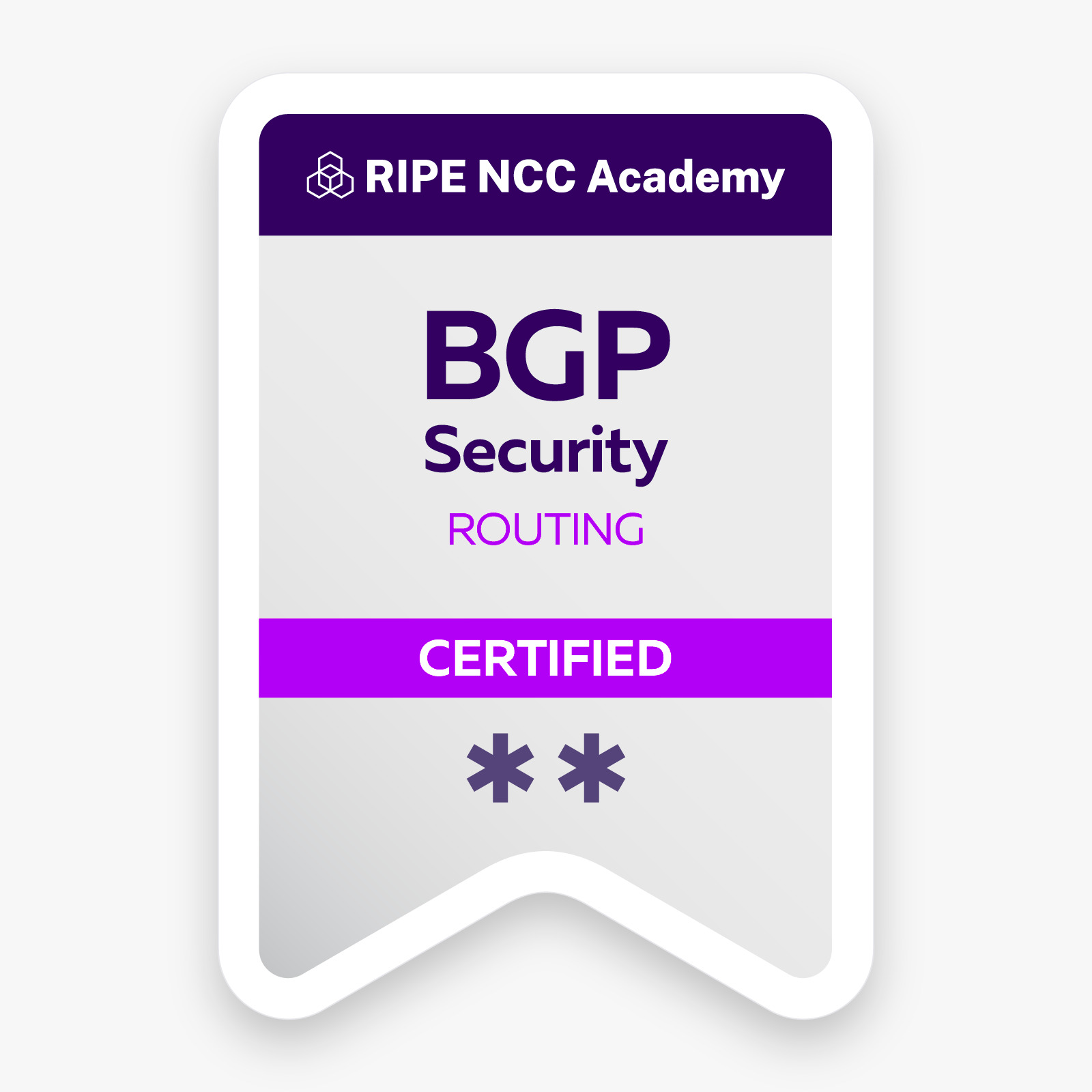 RIPE NCC Academy - BGP Security Routing Certified